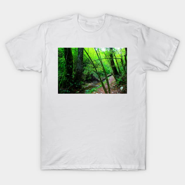 Scenery from Sarnano with the path to Cascata del Pellegrino with river, rocks, tree, trunks, greenery T-Shirt by KristinaDrozd